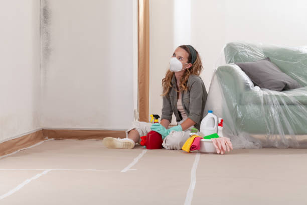 Reliable Black Mold Removal contractor in National Park, NJ by WQB Mold Removal